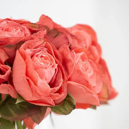 Delmar I Lejlighed *