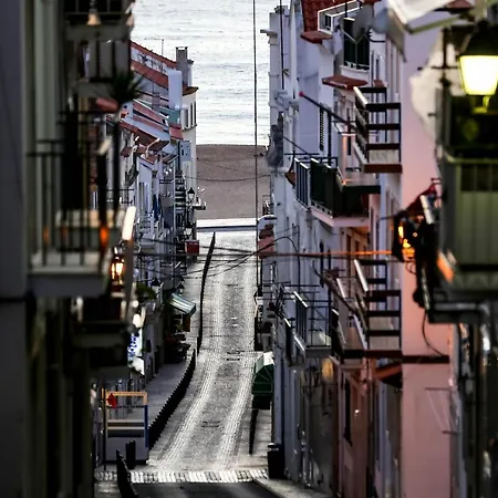 Delmar I Appartement